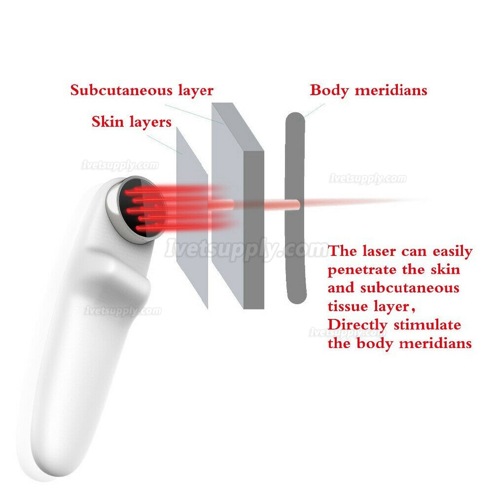 Veterinary Use Animals Clinic Pets Dogs Cats Horses 808nm Laser Therapy Device